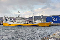 Shetland pelagic trawler 'Charisma' berthed at the Shetland Catch fish processing factory unloading catch of mackerel, Gremista, Lerwick, Shetland Isles, Scotland, UK, October 2012.