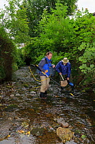 Fisheries assistant Stephanie Kershaw and volunteer John Dumont at the Eden Rivers Trust electrofishing for juvenile Atlantic salmon (Salmo salar) and Brown trout (Salmo trutta) as part of a capture a...
