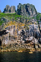 Granite cliffs at Jenny's Cove on the west coast of Lundy Island, Devon, England, UK, May
