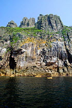 Granite cliffs at Jenny's Cove on the west coast of Lundy Island, Devon, England, UK, May