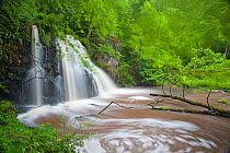 Waterfall, Fairy Glen RSPB reserve, Inverness-shire, Scotland, UK, May.