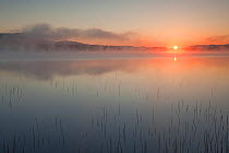 Mist rising from the River Spey at dawn, Cairngorms National Park, Scotland, UK, May.