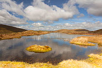 Pool in peat bog moorland, part of the Pumlumon Living Landscape project, Cambrian Mountains, Ceredigion, Wales, UK, May 2012.
