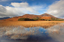 View across Loch Cill Chriosd towards Beinn na Caillich and the Red Cuillin hills, Isle of Skye, Inner Hebrides, Scotland, UK, October 2012.