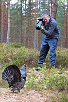 Male Capercaillie (Tetrao urogallus) displaying at photographer Andy Parkinson whilst on assignment for 2020VISION, Cairngorms National Park, Scotland, UK, March.