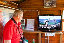 Man watching the Dyfi Osprey nest live web cam in the visitor centre, Dyfi Osprey Project, Powys, Wales, UK, May 2012.