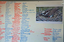 Whiteboard describing list of recent sightings from bird hide, Dyfi Osprey Project, Powys, Wales, UK, May 2012.