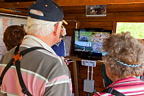 Visitors watching television screen showing the Dyfi Osprey Project live nest cam, Powys, Wales, UK, May 2012.