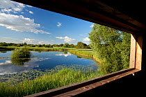 View through window of birdwatching hide, Woodwalton Fen National Nature Reserve, Cambridgeshire, England, UK, July 2012.