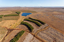 Aerial view of Forsinard Flows blanket bog, with conifer plantations, Forsinard, Caithness, Scotland, UK, May 2012.