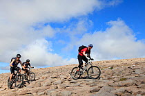 Mountain bikers on upland path on route to Ben Macdui, Cairngorms National Park, Scotland, UK, August.