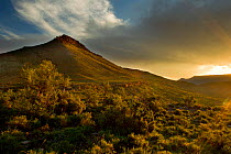 Landscape view of hills and crag at dusk, Karoo, South Africa, February