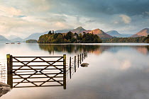Derwent Water, fence, gate and flooding, looking to Catbells mountain, near Keswick, The Lake District, Cumbria, UK. October 2012.