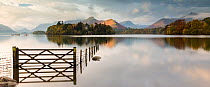 Panoramic view of Derwent Water, fence, gate and flooding, looking to Catbells mountain, near Keswick, The Lake District, Cumbria, UK. October 2012.
