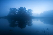 Reflected trees in mist and low light over Lake Grasmere, The Lake District, Cumbria, UK. October 2012.