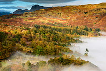 View from Loughrigg, with autumn colour and morning mist, near Grasmere, The Lake District, Cumbria, UK. October 2012.