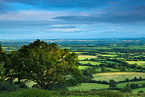 The Blackmore Vale from Bulbarrow Hill, Dorset, UK August 2012