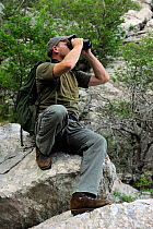 Wildlife and hunting guide Hrvoje Bezjak, looking through binoculars, Velebit Nature Park, Rewilding Europe area, Velebit mountains, Croatia June 2012