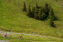 Bicyclists / mountain bikers in a long distance race with goal being Velebit, North Velebit National Park, Velebit Nature Park, Rewilding Europe area, Velebit mountains, Croatia