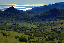 Abandoned grazing lands, Paklenica National Park, Velebit Nature Park, Rewilding Europe area, Velebit mountains, Croatia June 2012