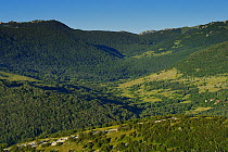 Abandoned grazing lands, Zlatni Rog / Puskar area, Velebit Nature Park, Rewilding Europe area, Velebit mountains, Croatia June 2012