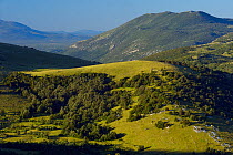 Abandoned upland grazing, Zlatni Rog / Puskar area, Velebit Nature Park, Rewilding Europe area, Velebit mountains, Croatia June 2012