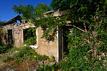 House ruins, abandoned since the Balkan war 1991-1995, Velebit Nature Park, Rewilding Europe area, Velebit mountains, Croatia June 2012