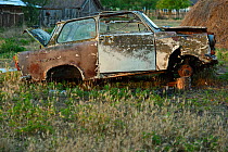 Abandoned car in Letea, Danube delta rewilding area, Romania May 2012