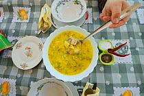 Fish soup serving at Mama Sika's guesthouse, Sfintu Gheorghe, Danube delta rewilding area, Romania