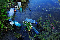 Discarded garbage  in water, Danube delta rewilding area, Romania