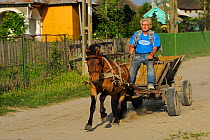 Traditional means of transport, horse and cart, Sfinthu Gheorghe, Danube delta rewilding area, Romania June 2012