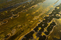 Aerial view over the Danube delta, abstract patterns of water and ground, Danube delta rewilding area, Romania, June 2012