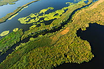 RF- Aerial view over the Danube delta rewilding area, Romania, June 2012. (This image may be licensed either as rights managed or royalty free.)