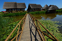 Green Village lodge with walkway, Sfinthu Gheorghe, Danube delta rewilding area, Romania June 2012