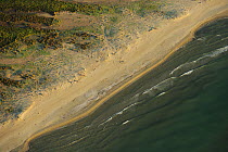 Aerial view over the Danube delta rewilding area, with water lapping on shoreline, Romania, June 2012