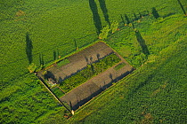 Aerial view of vegetable plot in Letea village, part of the Danube delta rewilding area, Romania, June 2012