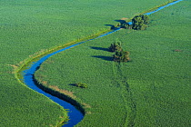 Aerial view of meandering river within the Danube delta rewilding area, Romania, June 2012