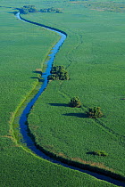 Aerial view of meandering river / waterway within the Danube delta rewilding area, Romania, June 2012