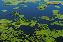 Aerial view over the Danube delta wetlands rewilding area, Romania June 2012
