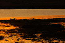 Sunrise over the delta, with people in boat, Danube delta rewilding area, Romania June 2012