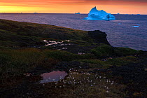 Iceberg off the coast of Disco bay at sunrise, Qeqertarsuaq Greenland, August 2009. Exclusive Japanese calendar rights for 2014.