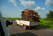 Firewood collection from Waza National Park. Inefficient monitoring and lack of controls allow enterprising merchants to remove and collect wood from the Waza National Park and surrounding hinterland....