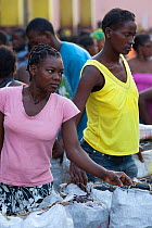 Women primarily control the sale of charcoal in Sao Tome market, Sao Tome, Democratic Republic of Sao Tome and Principe, Gulf of Guinea. Lack of cooking fuels puts pressure on natural resources and mu...