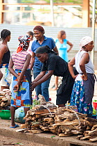 Women selling wood for fuel in Sao Tome market, Sao Tome, Democratic Republic of Sao Tome and Principe, Gulf of Guinea. Lack of cooking fuels puts pressure on natural resources and much comes from woo...