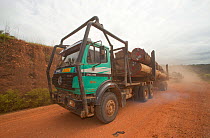 Trucks used for large-scale hardwood timber extraction with hardwood logs being taken from lumber yard located inside the Lope National Park. Onward shipment via sea takes place from Libreville, Gabon...
