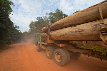 Trucks used for large-scale hardwood timber extraction with hardwood logs being taken from lumber yard located inside the Lope National Park. Onward shipment via sea takes place from Libreville, Gabon...