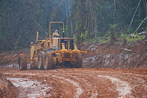 Road construction through rainforest. Graders clear the surface to a newly constructed road as the rainy season breaks. Lope National Park to Libreville highway. Gabon, January 2009