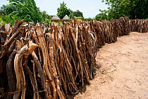Firewood collected from Waza National Park. Inefficient monitoring and lack of controls allow enterprising merchants to remove and collect wood from the Waza National Park and surrounding hinterland,...