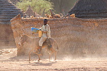 Gula man riding donkey (Equus africanus asinus) carrying water from well, Zakouma National Park, Chad, March 2010