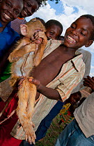 Mozambican children with captive Yellow Baboon (Papio cynocephalus) youngster, caught during troop crop raiding. Pemba to Montepuez highway, north-eastern Mozambique.